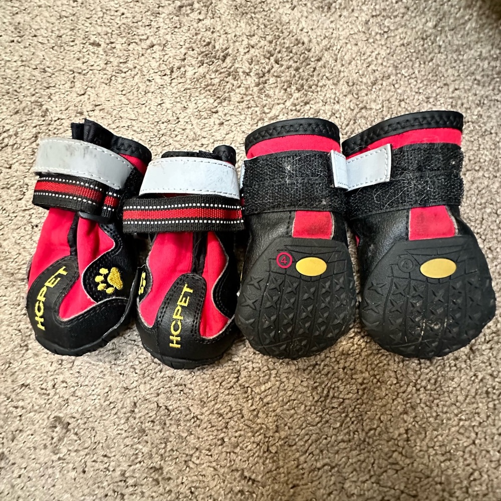 dog shoes